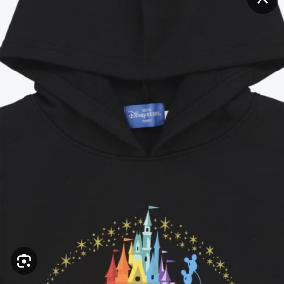 Tokyo Disney Resort 20/22 Black Hoodie Dreaming In Color Size L. - Picture 3 of 9
